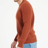 Pure Cashmere Cable Knit Round Neck Sweater (Zach 5)