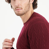 Pure Cashmere Cable Knit Round Neck Sweater (Zach 5)