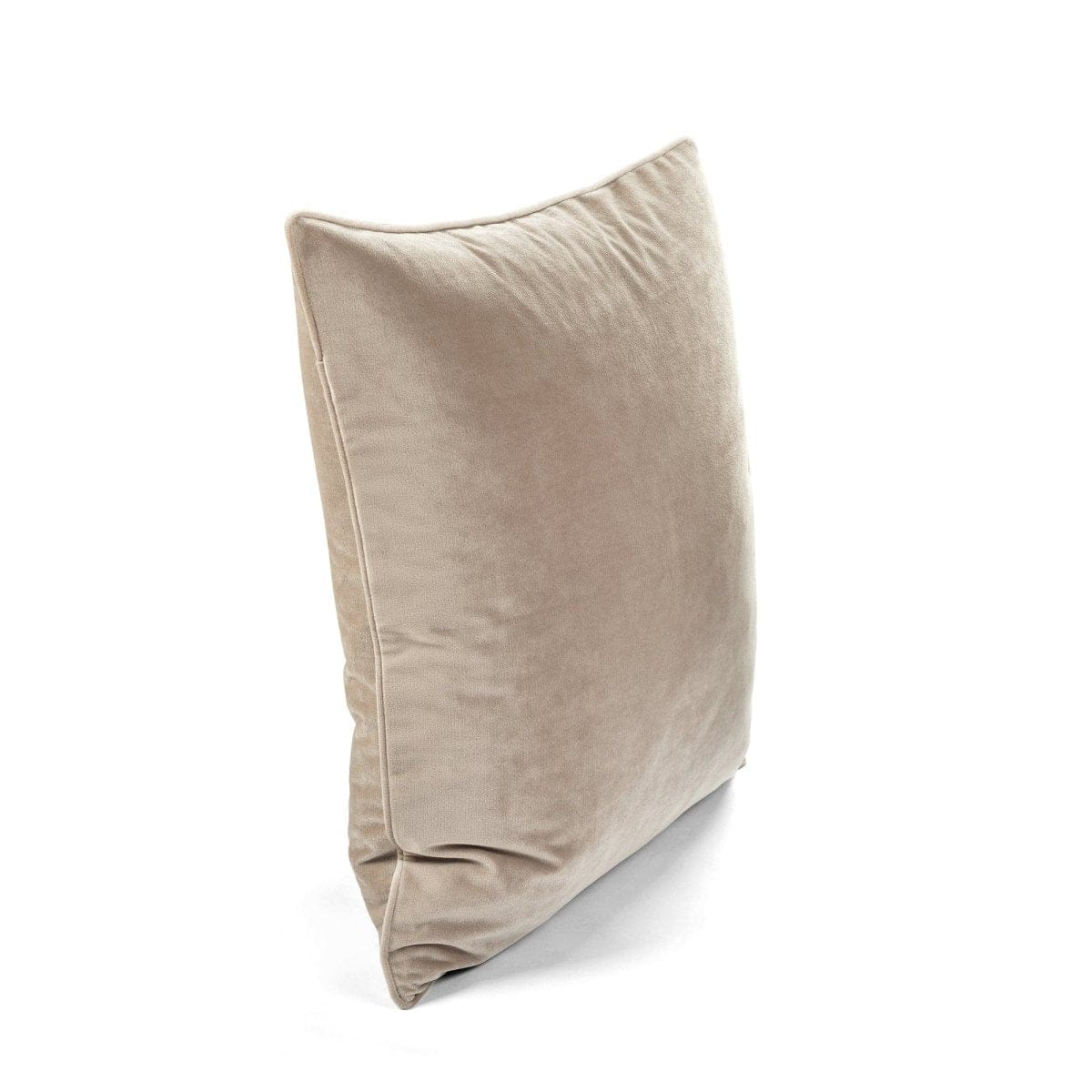 Velvet Solid Decorative Pillow Cover 2-pack Set