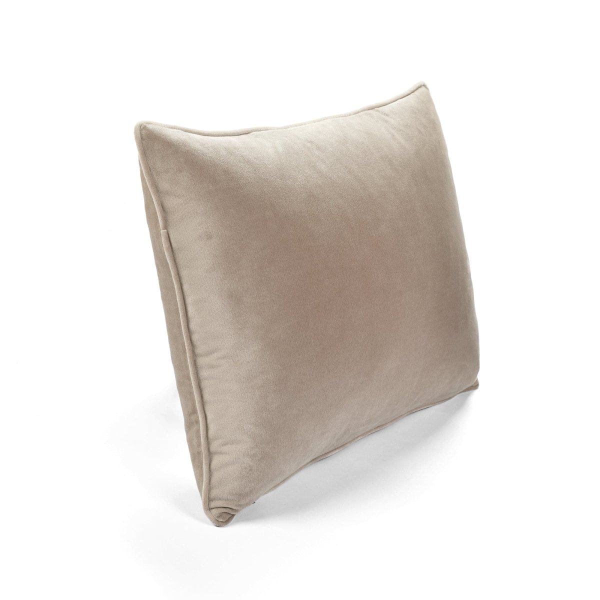 Velvet Solid Decorative Pillow Cover 2-pack Set