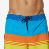 O'Neill Men's Four Square Stripe Board Shorts Blue Size 36