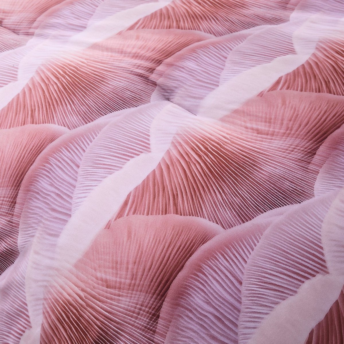 Gilded Spore Cotton Comforter Set