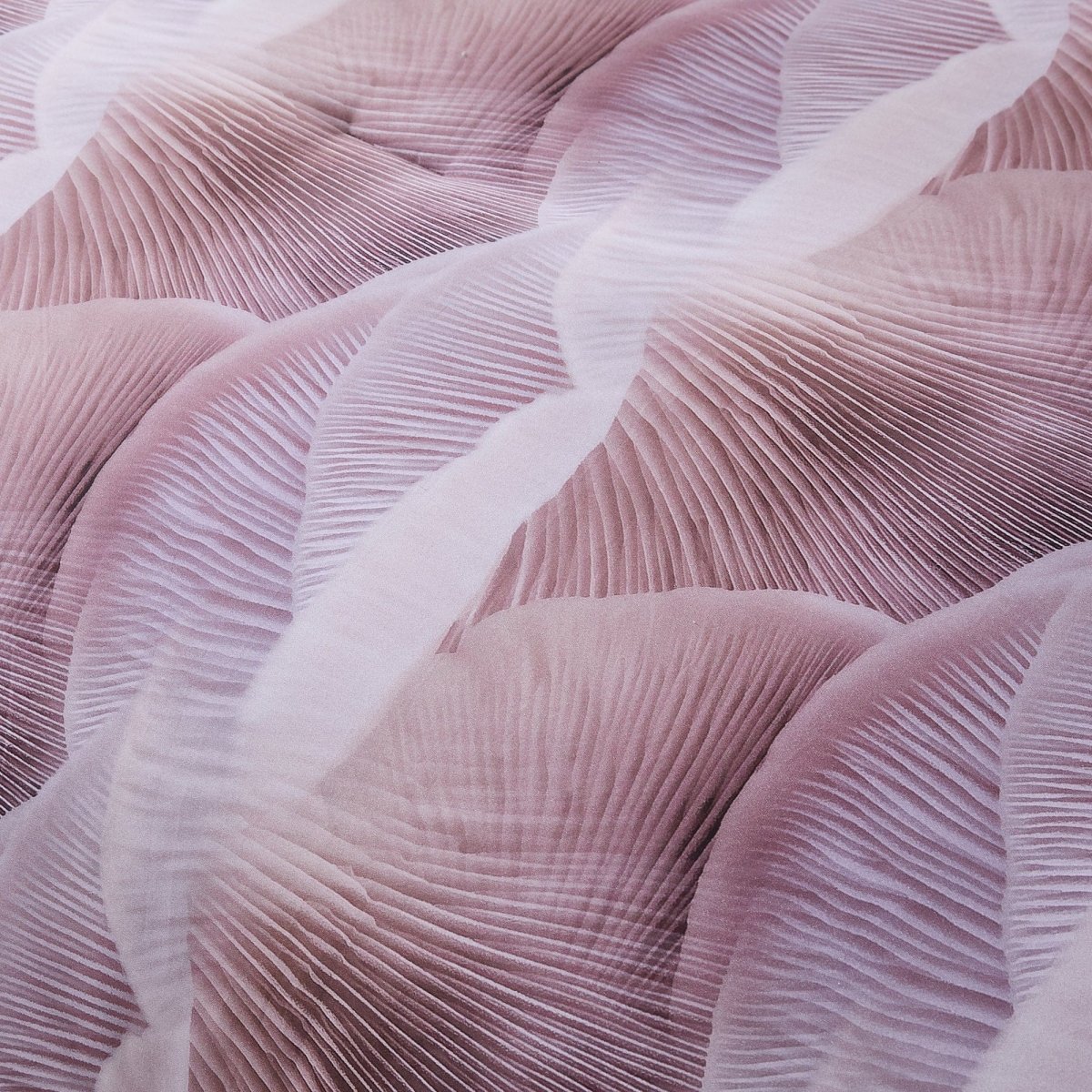 Mycelium Dream Comforter Set