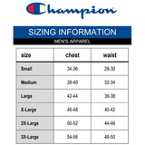Champion Men's Powerblend Graphic Hoodie Purple Size Large