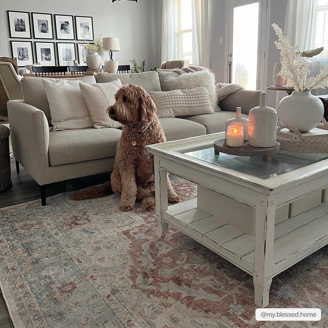 Emke Flat Pile Washable Rug