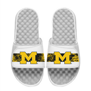 Michigan Distressed