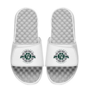 Michigan State Spartans Basketball Logo