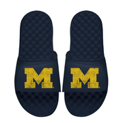 Michigan Wolverines Pixeled Distressed