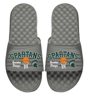 Michigan State Spartans Basketball Collage 2025