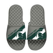 Michigan State Spartans Paint Stripes
