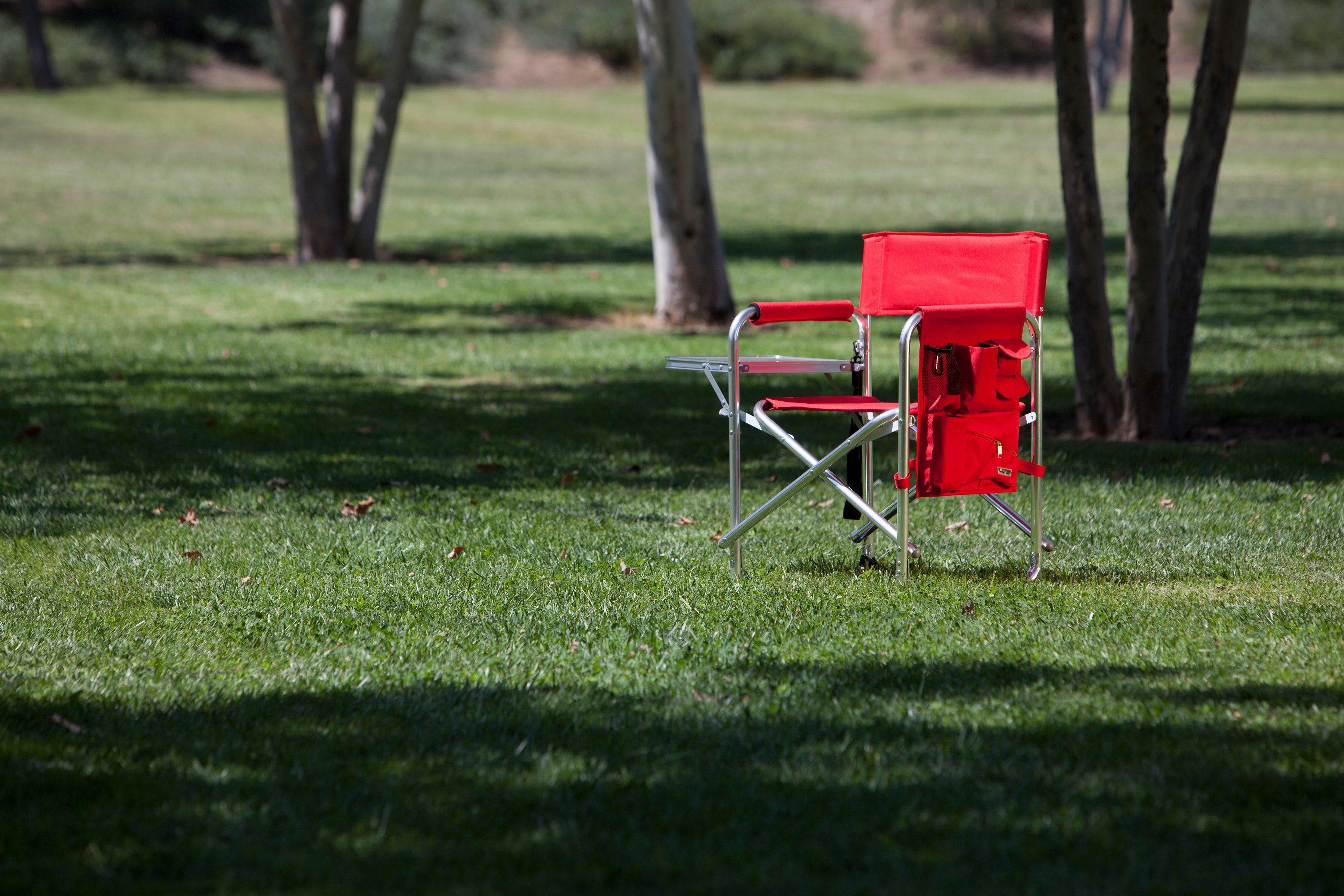 Purple Sports Chair With Side Table
