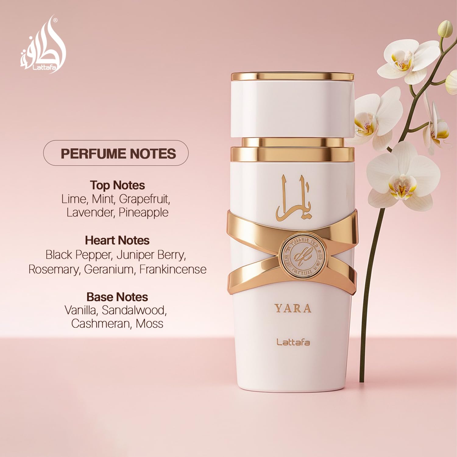 SteinMart.com | Lattafa Yara Moi Eau de Parfum for Women, 3.4 oz
