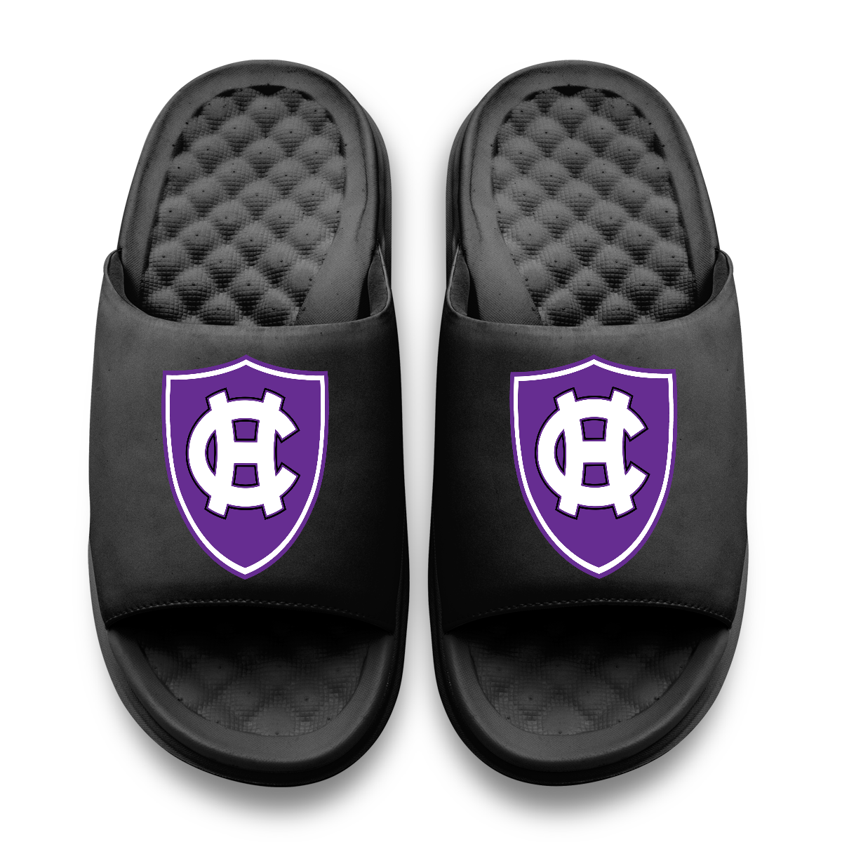 Holy Cross Crusaders Primary Motive