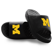 Michigan Wolverines Primary Motive