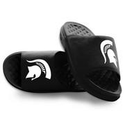 Michigan State Spartans Primary Motive