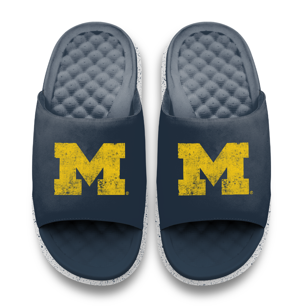 Michigan Wolverines Pixeled Distressed Motive