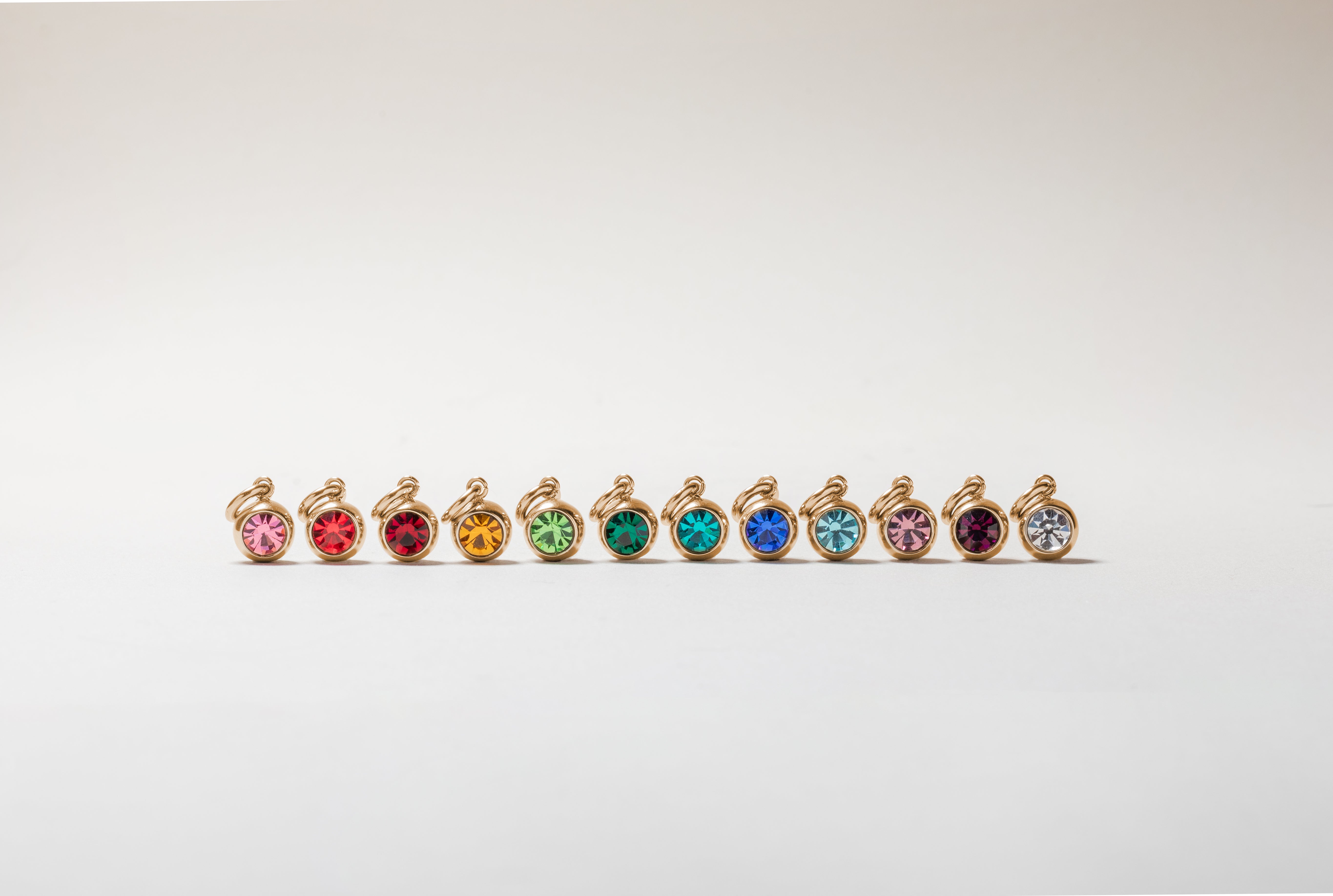 January Birthstone Interchangeable Charm