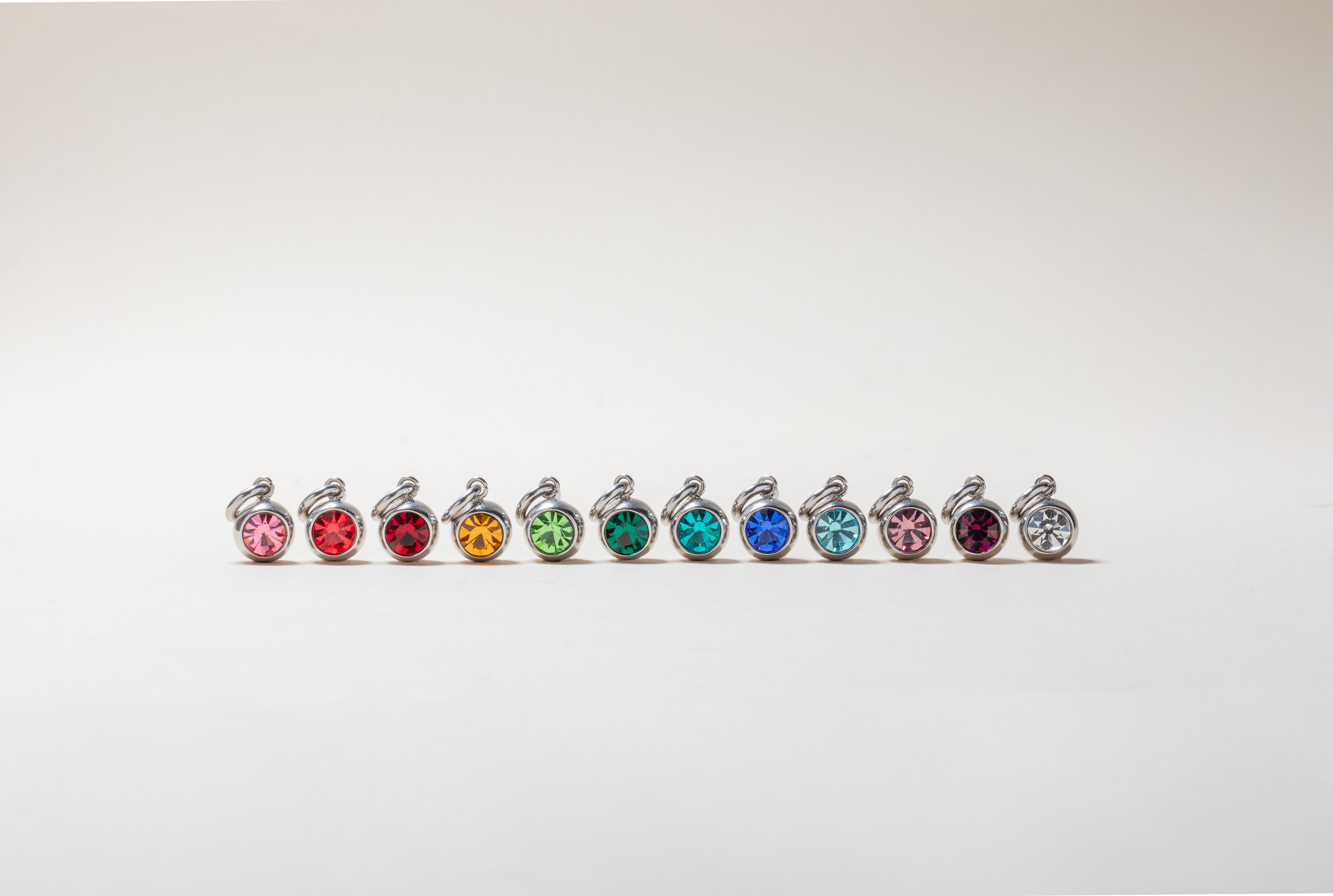 January Birthstone Interchangeable Charm