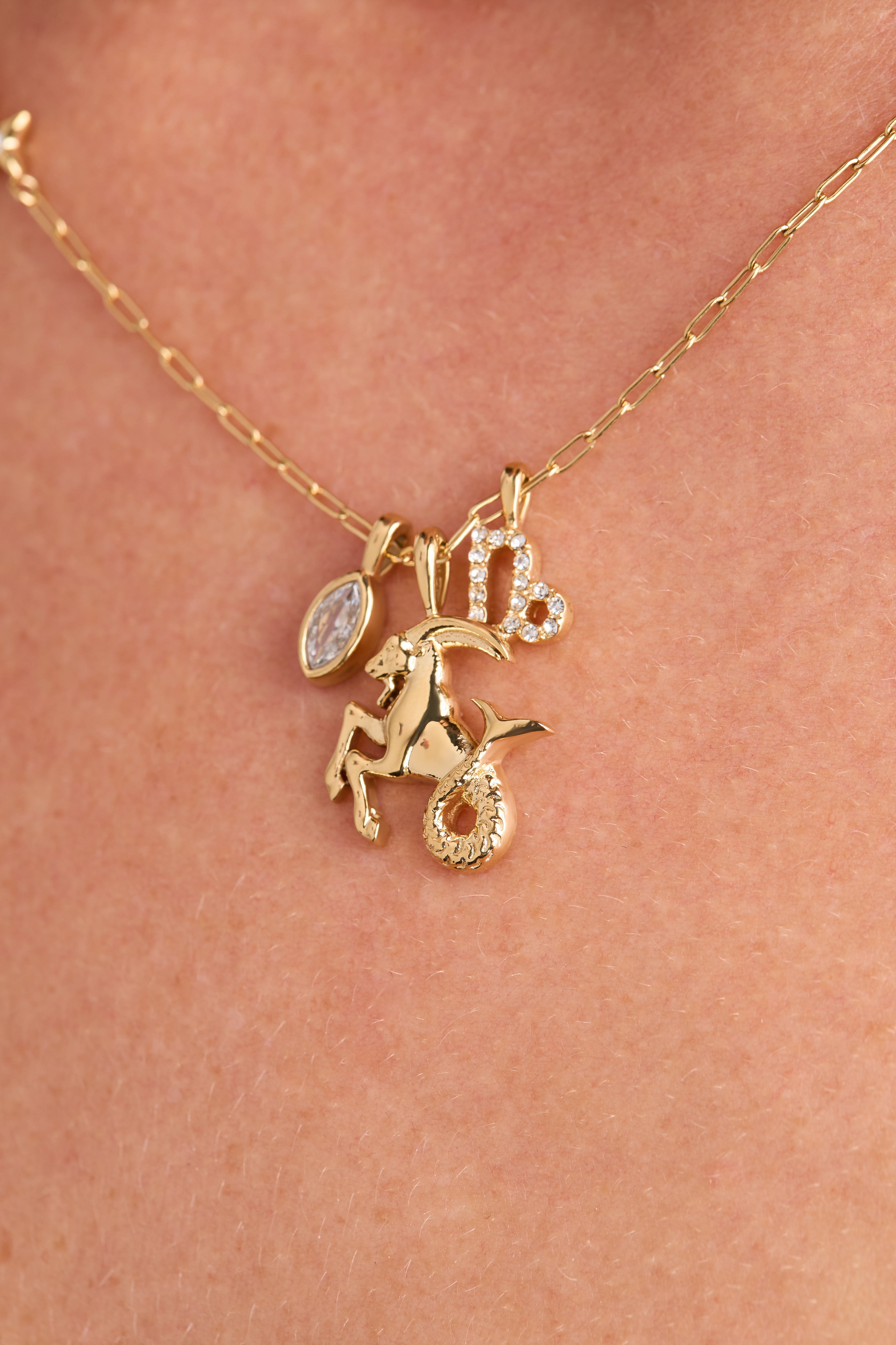 Capricorn Zodiac Charm Cluster Necklace