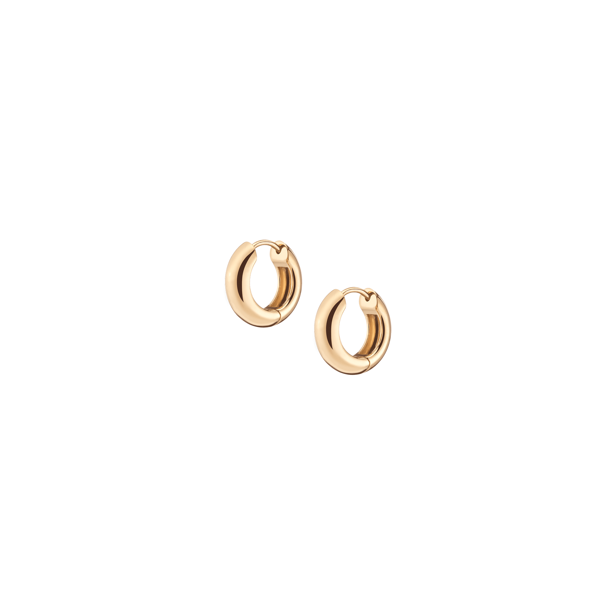 Small Chunky Hinged Hoop Earrings