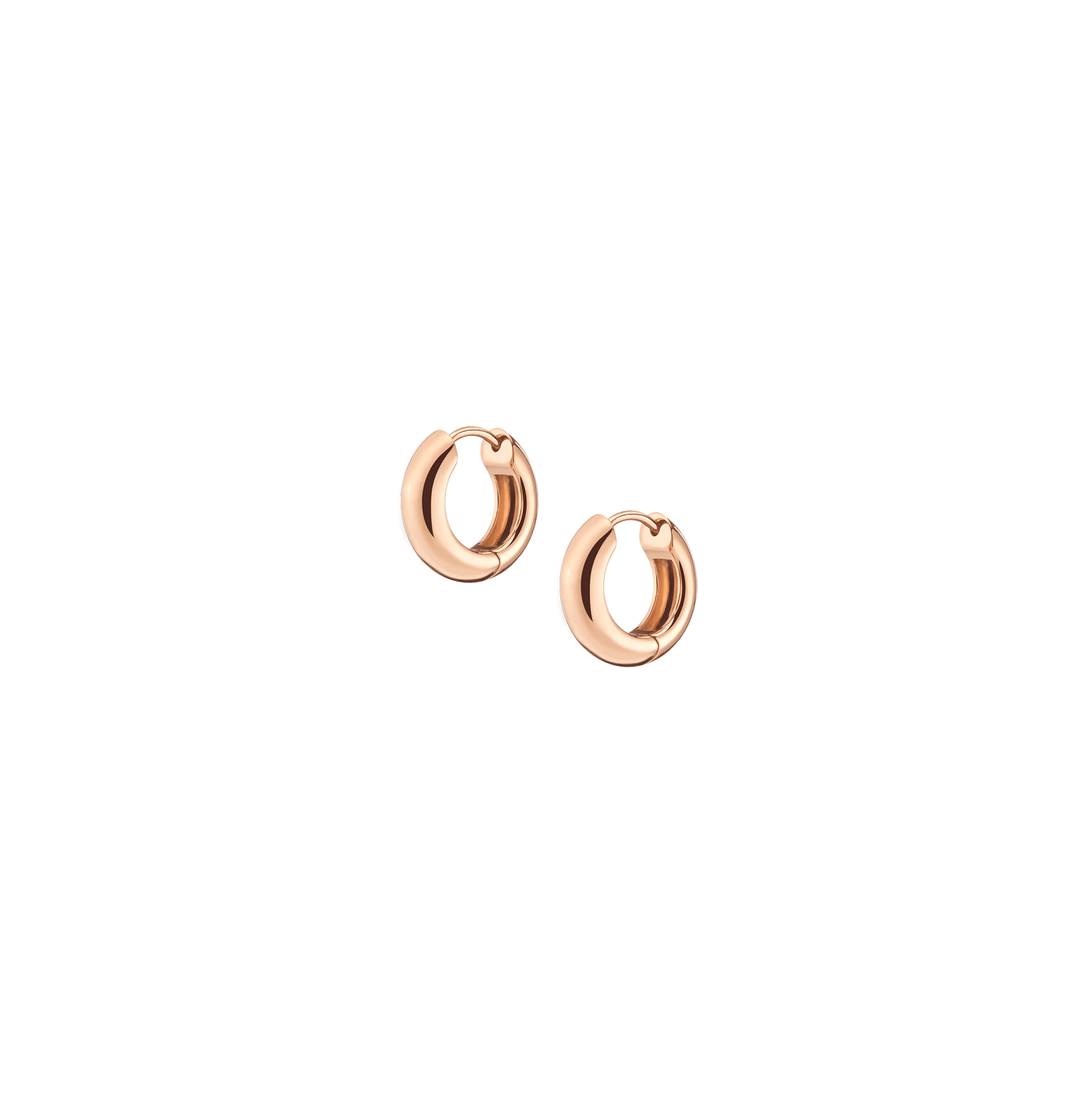 Small Chunky Hinged Hoop Earrings