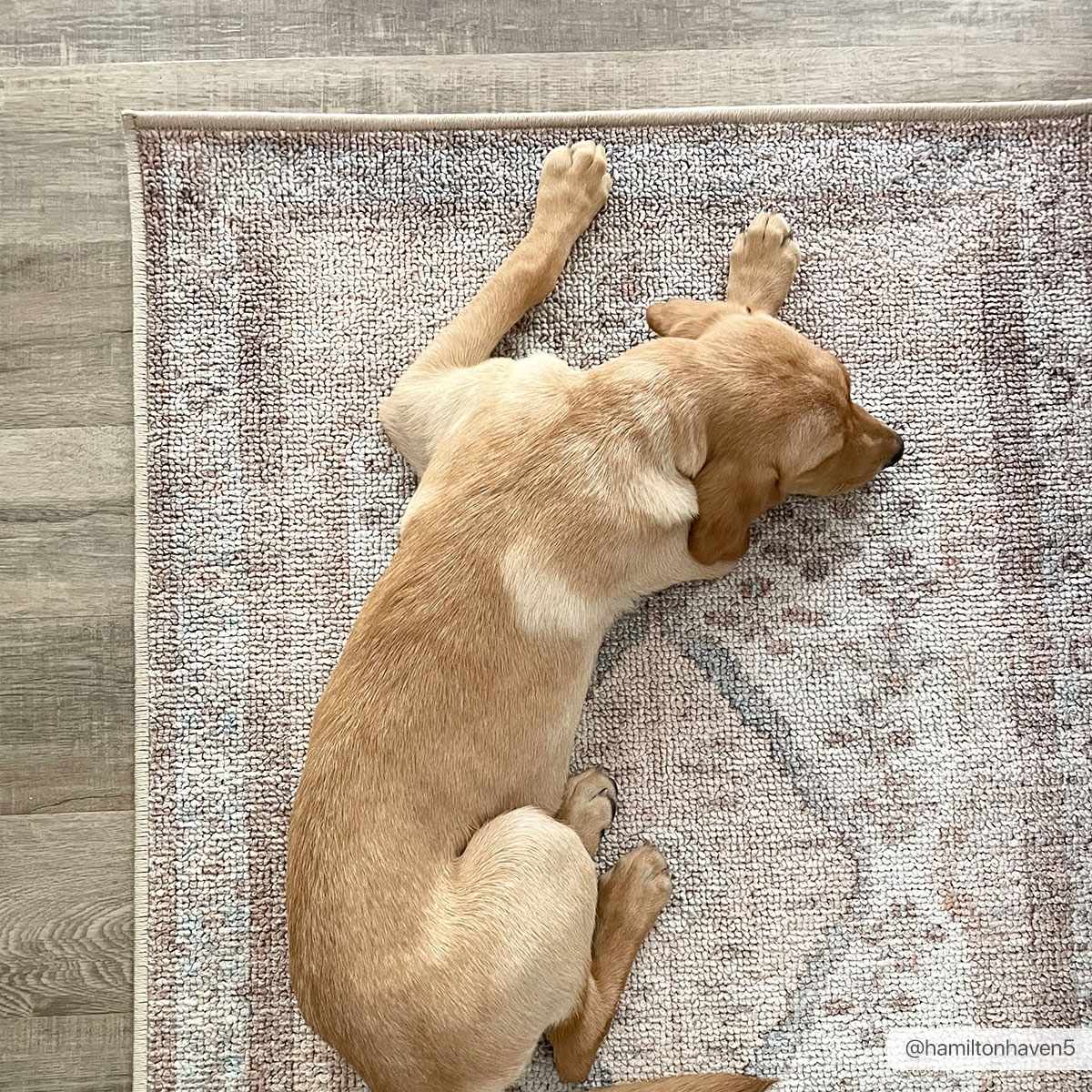 Analu Non-slip Washable Rug