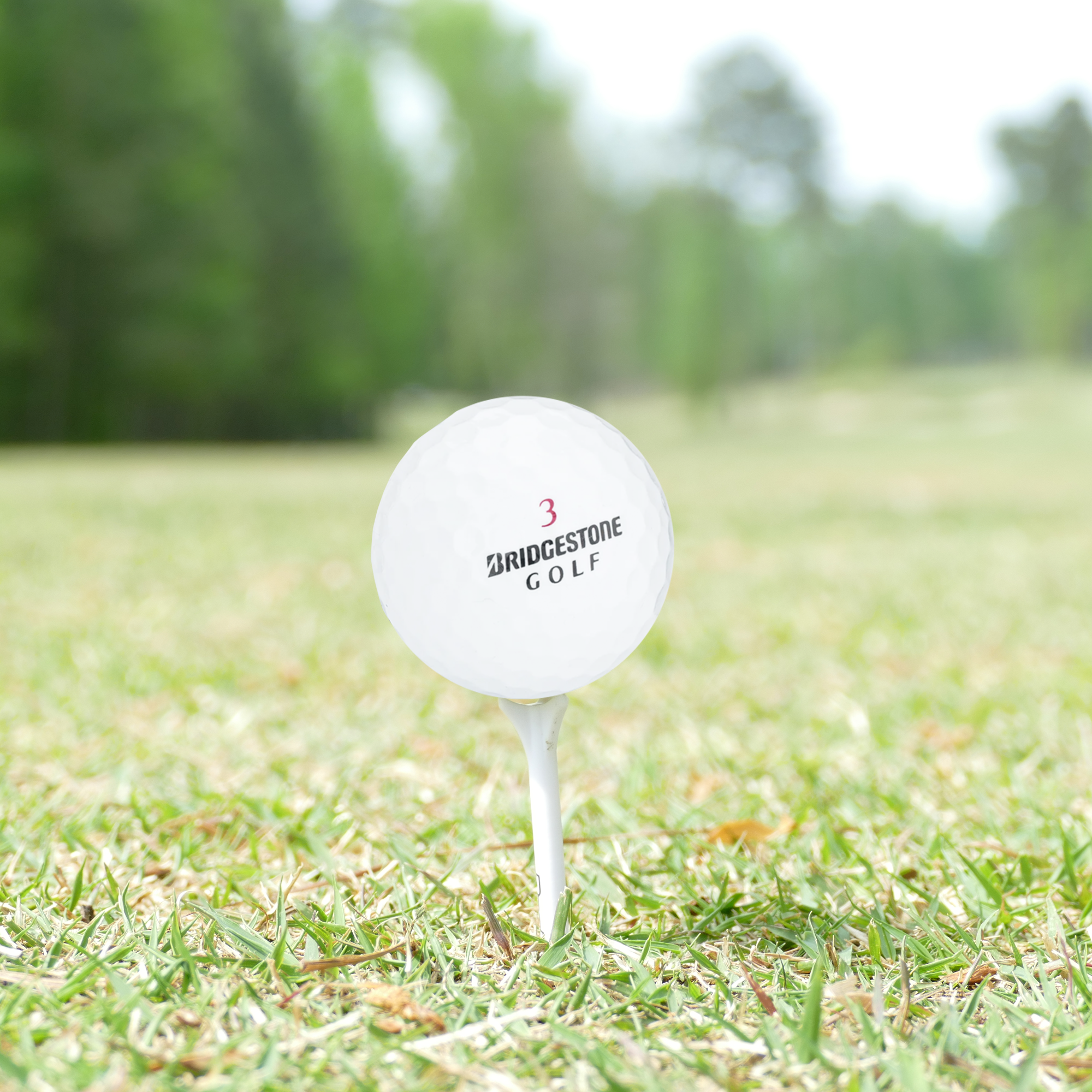 Used Bridgestone E6 Soft - 1 Dozen