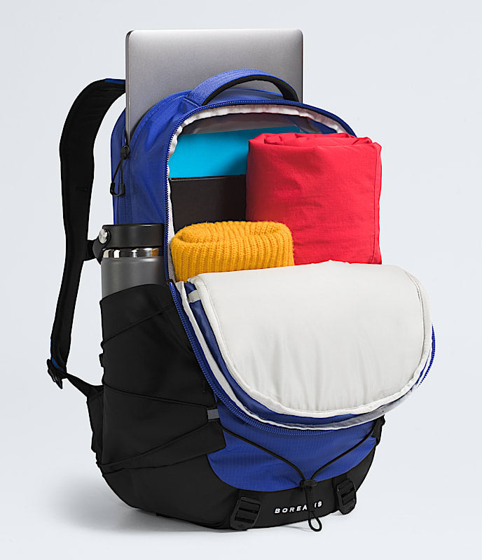 The North Face Borealis Backpack