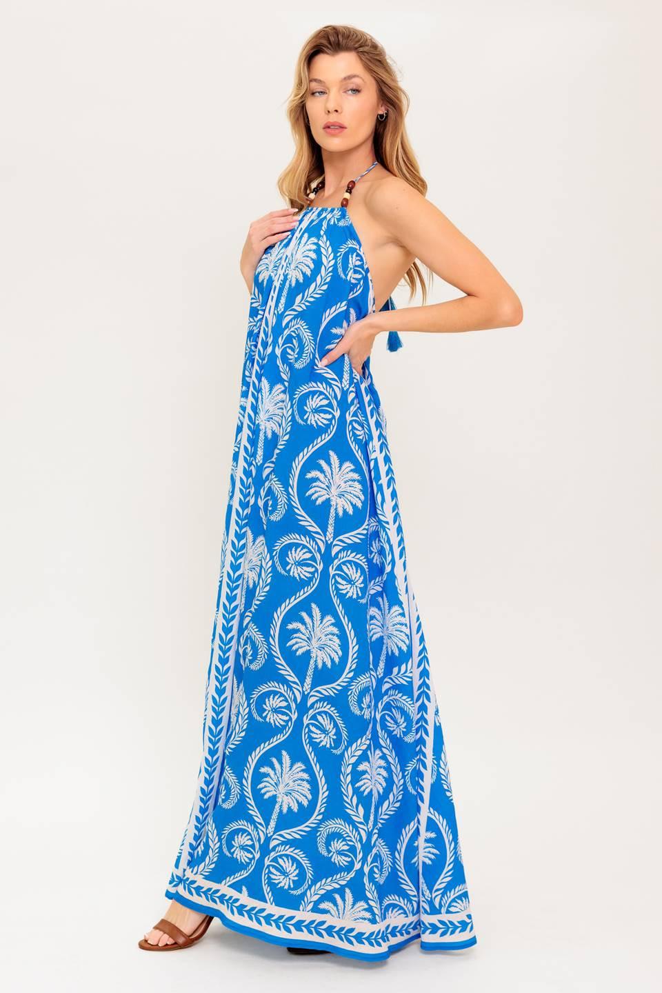 For The Dreamers Blue Woven Maxi Dress