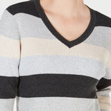 Karen Scott Women's Colorblocked V-Neck Cotton Sweater Brown Size Medium