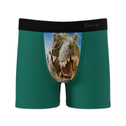 The Mad Lizard | Dinosaur Boy's Boxer Briefs