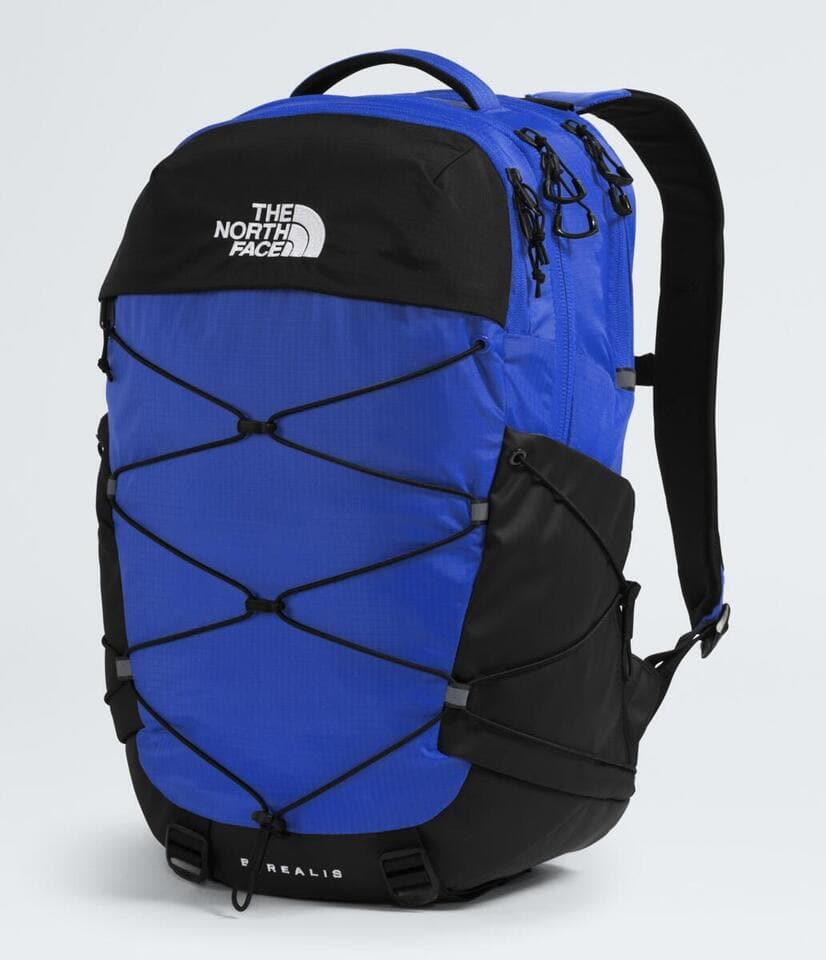 The North Face Borealis Backpack