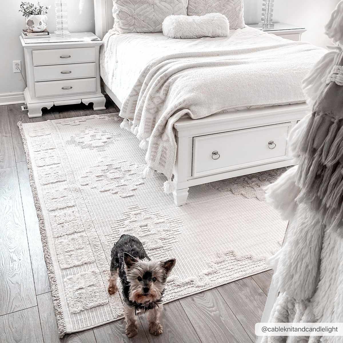 Rosales High-low Rustic Rug