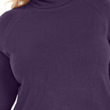 Karen Scott Women's Plus Size Turtleneck Luxsoft Sweater Purple Size 1X