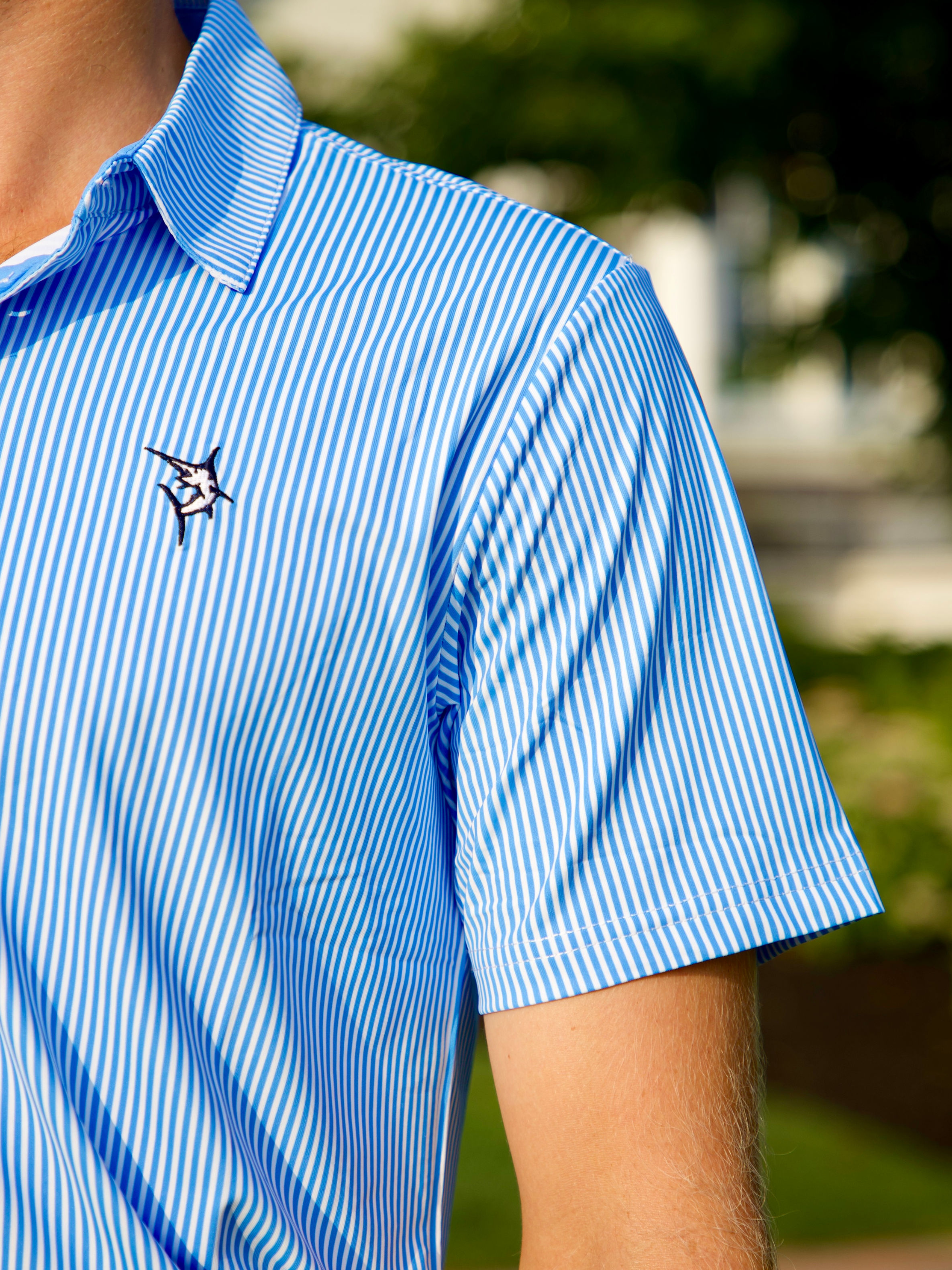 Striper Polo Lb