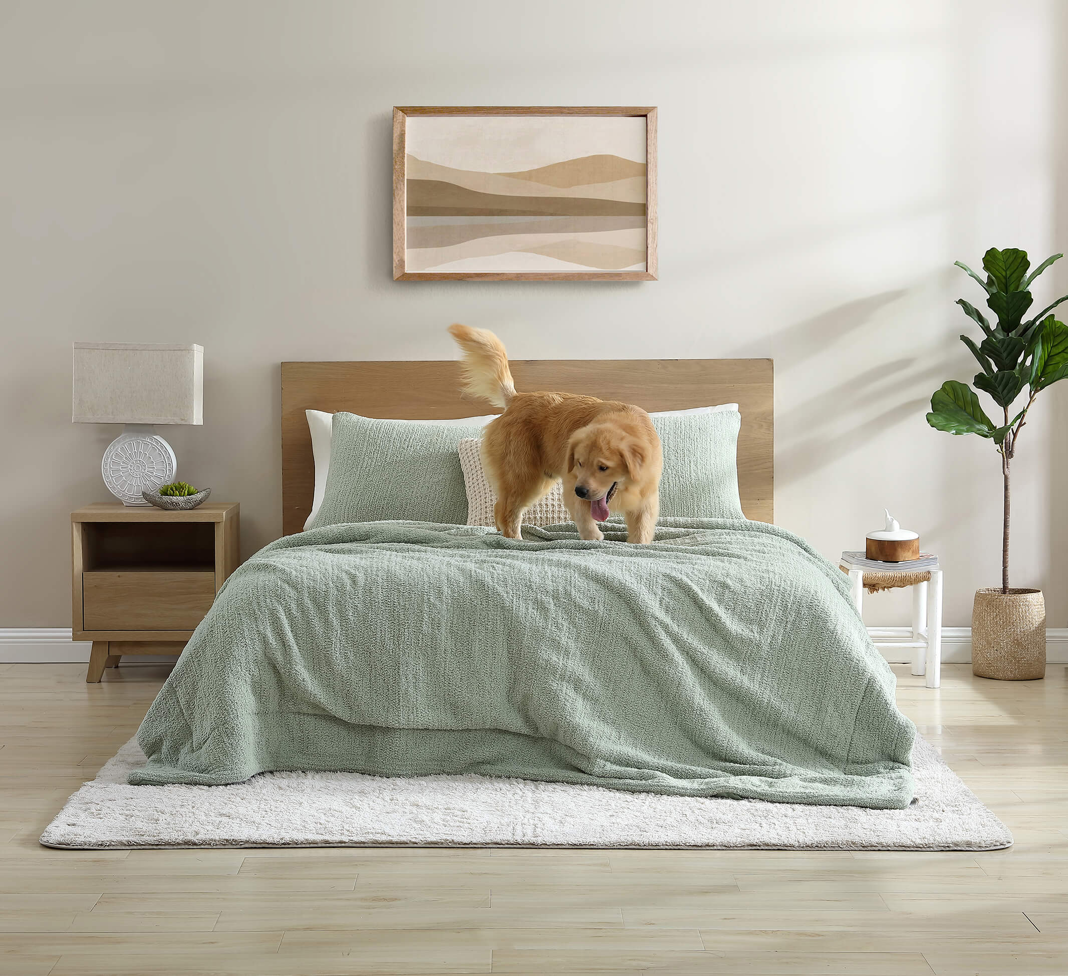 Snug + Lumiére Sham Set