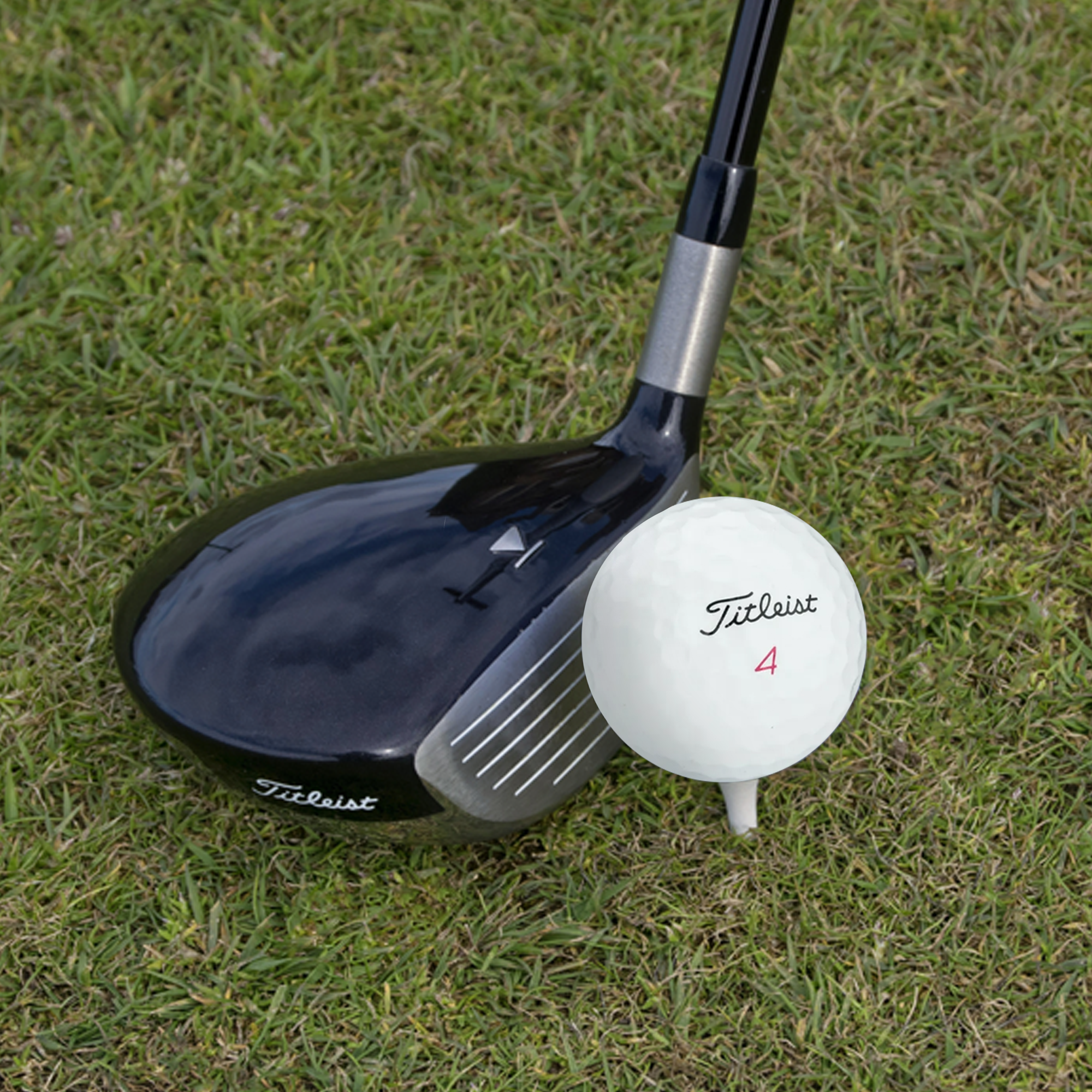 Used Titleist Pro V1X Mix Golf Balls - 1 Dozen