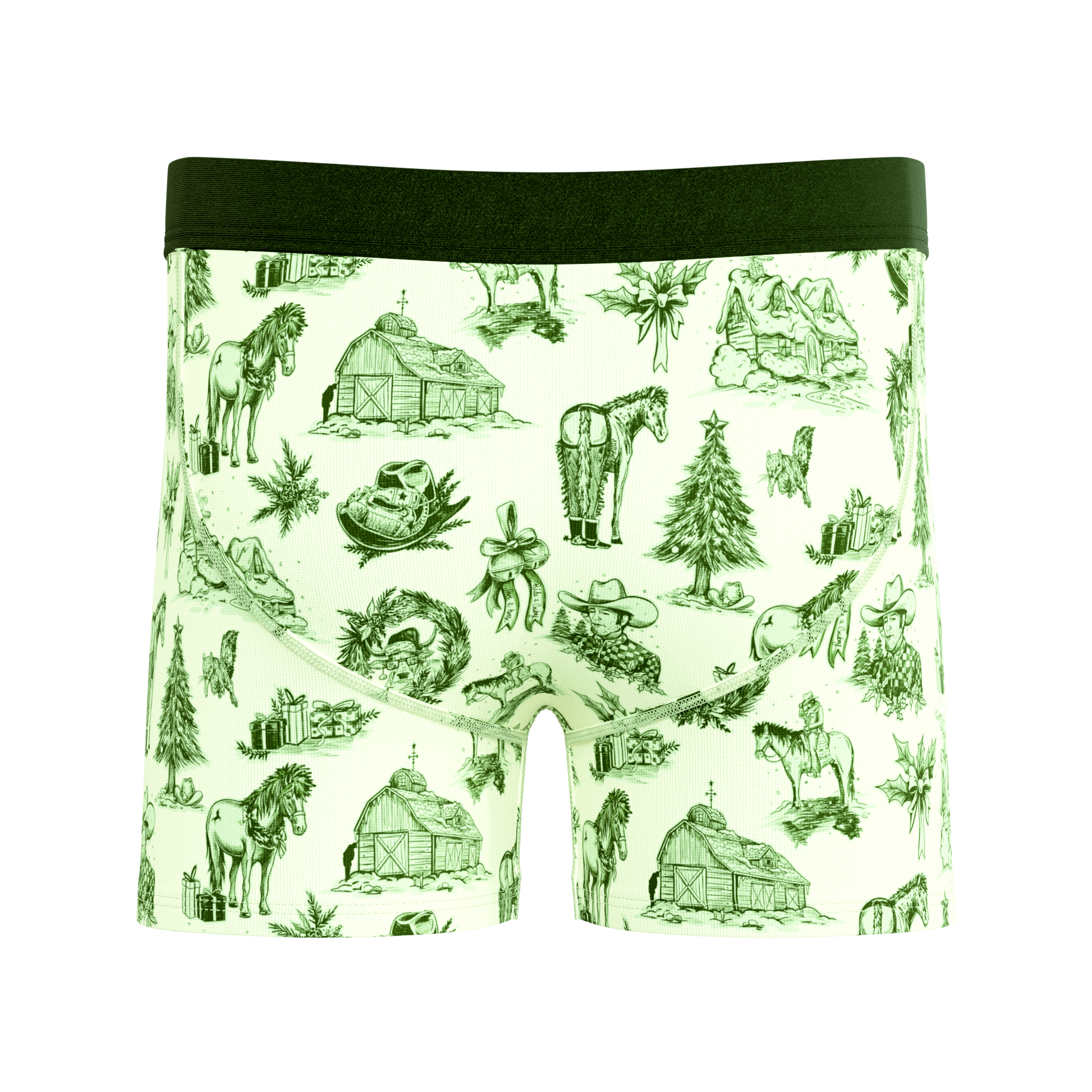 The Western Wonderland | Western Toile Boy's Boxer Briefs