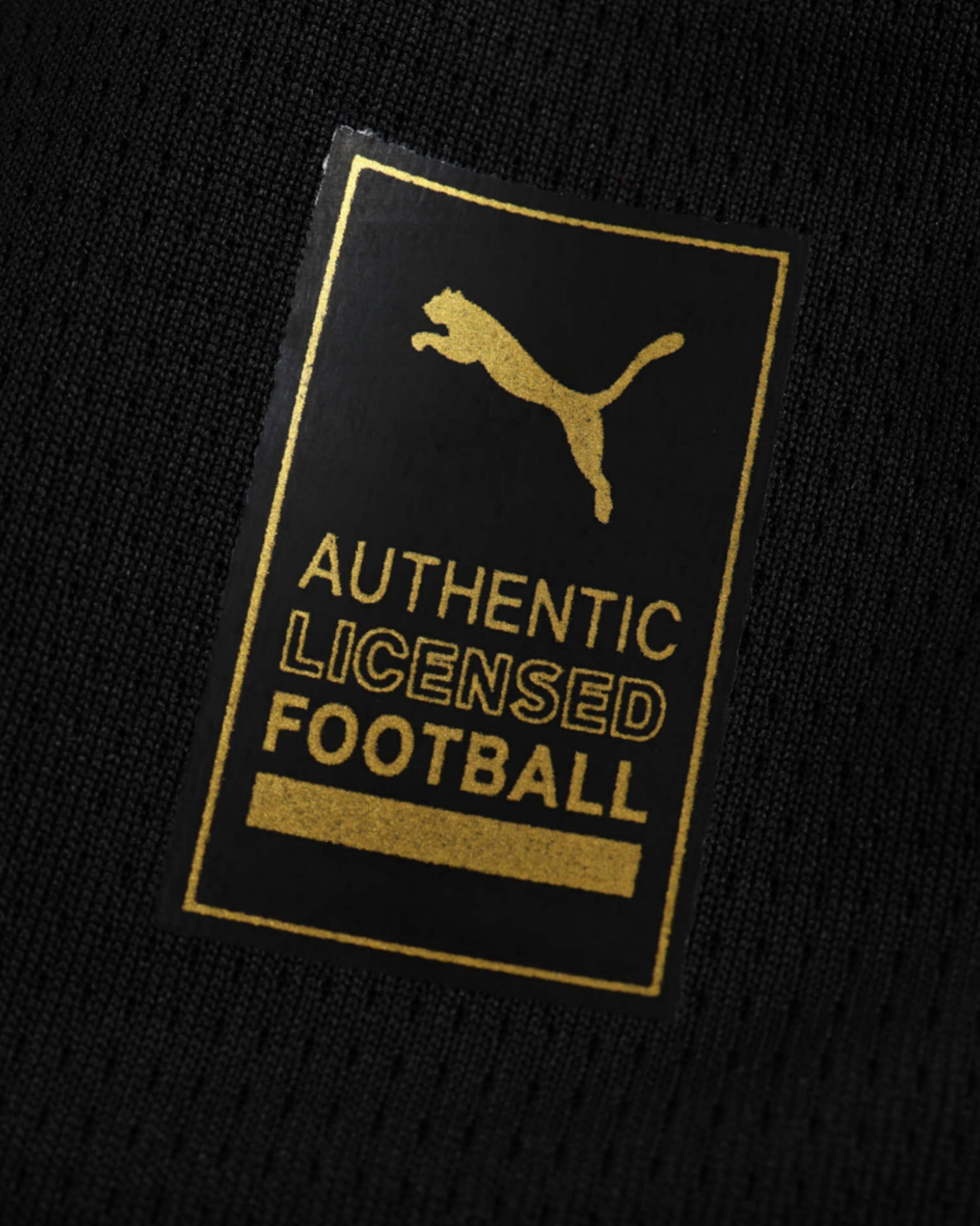 AC Milan Goalkeeper Puma Jersey 2024/25