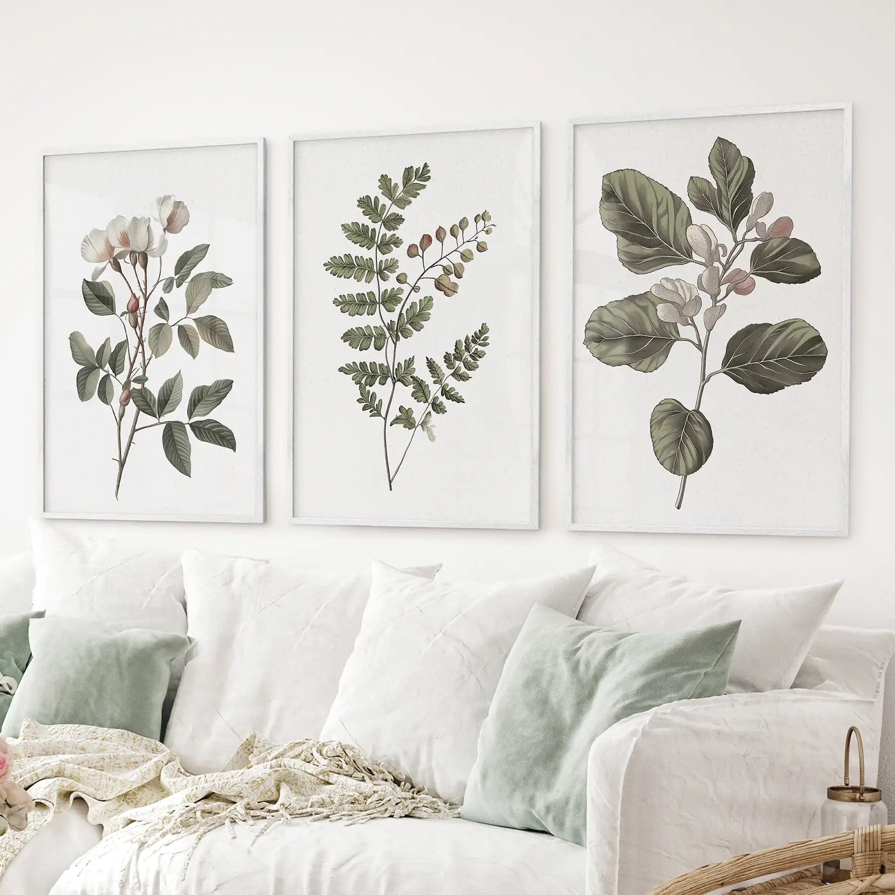 Three Minimalist Lithographic Plants Botanical Art Prints