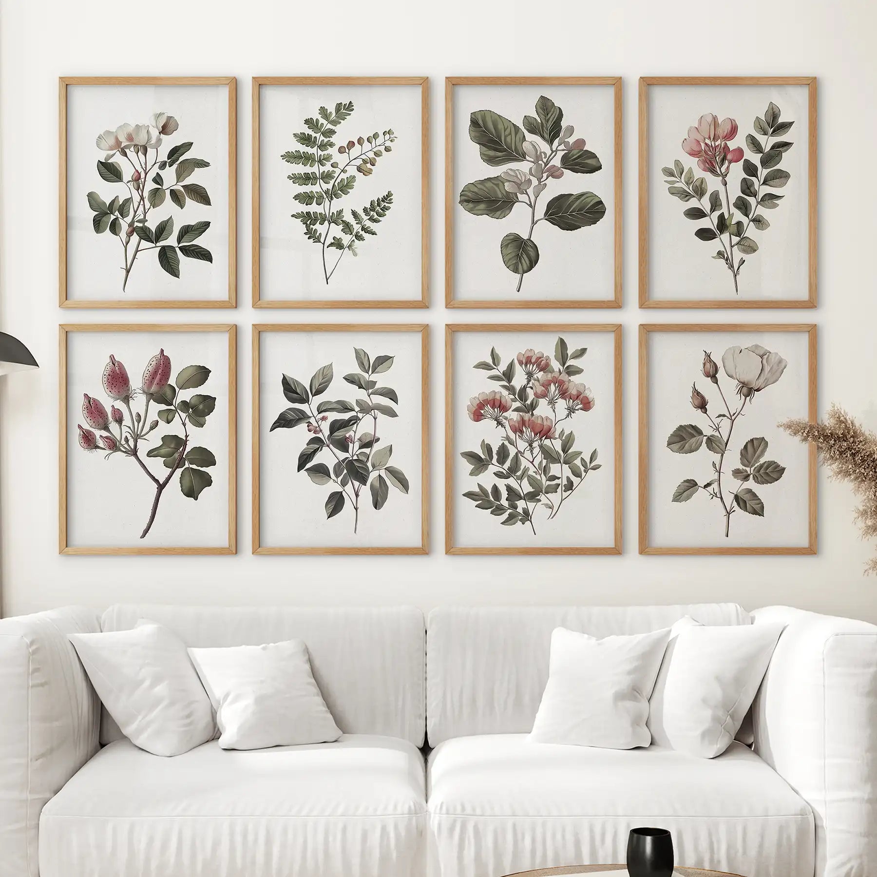Antique Botanical Set of 8 White Rose Wall Art Prints