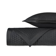 Apiary Quilted Coverlet (euro) Set