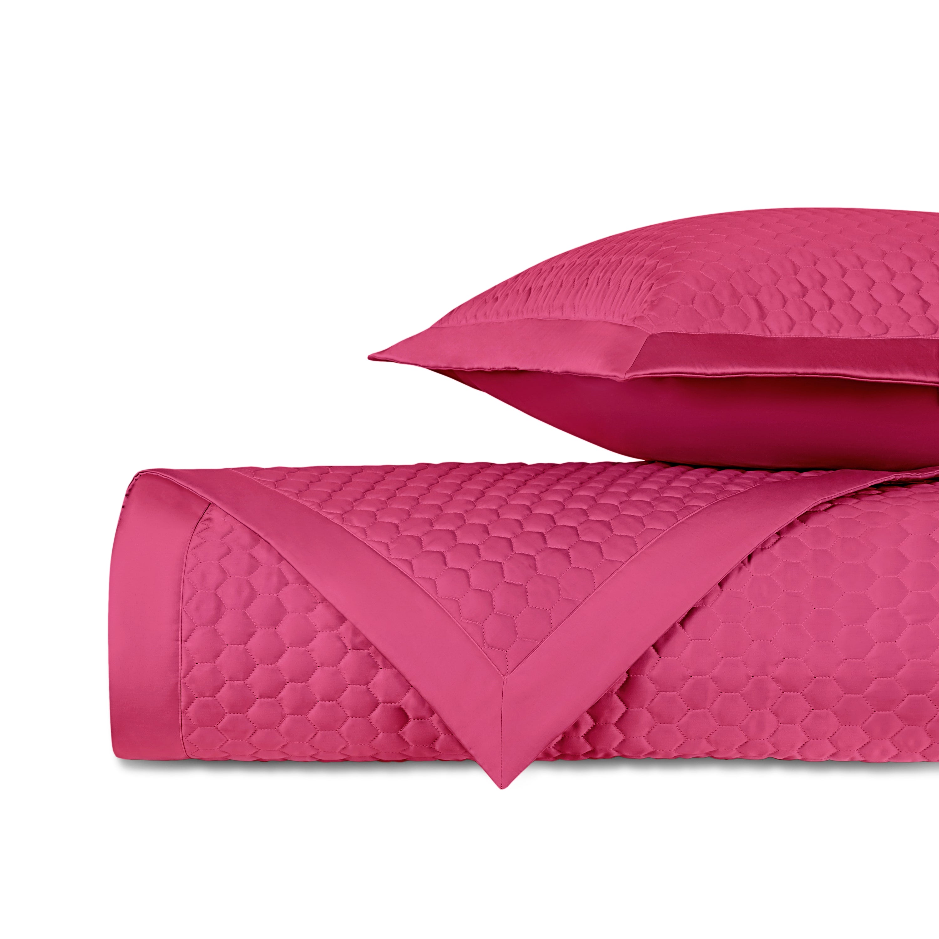 Apiary Quilted Coverlet (euro) Set