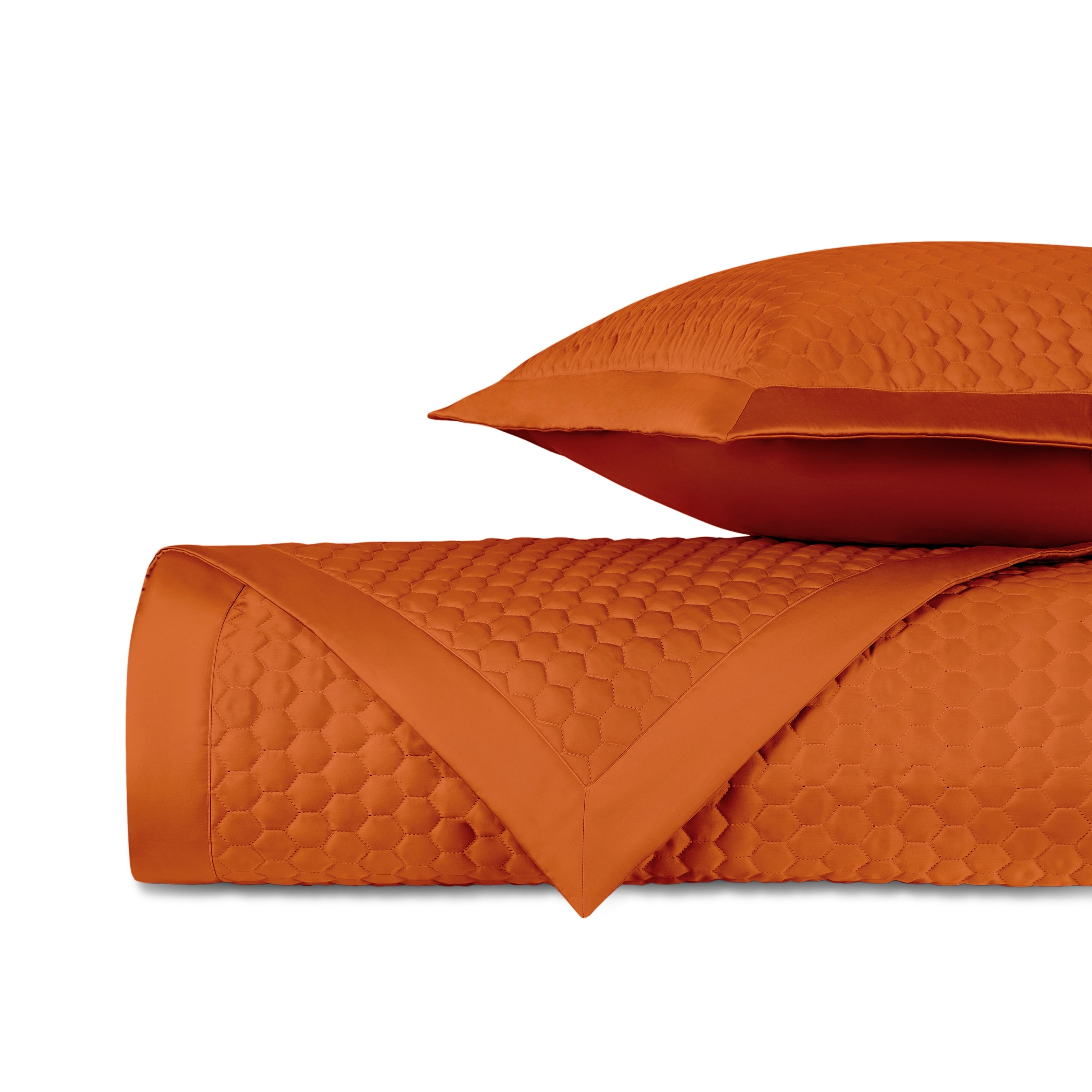 Apiary Quilted Coverlet (euro) Set