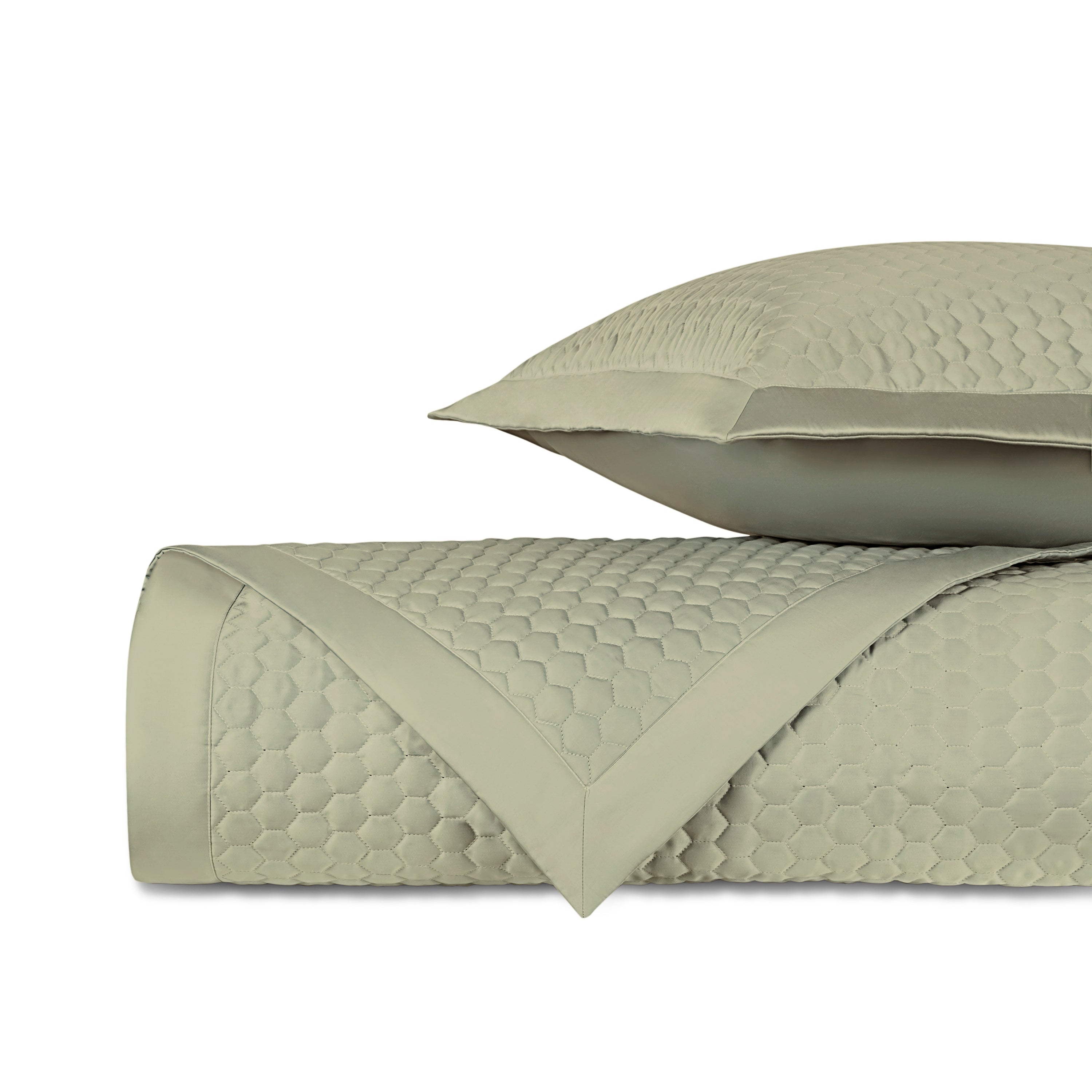 Apiary Quilted Coverlet (euro) Set