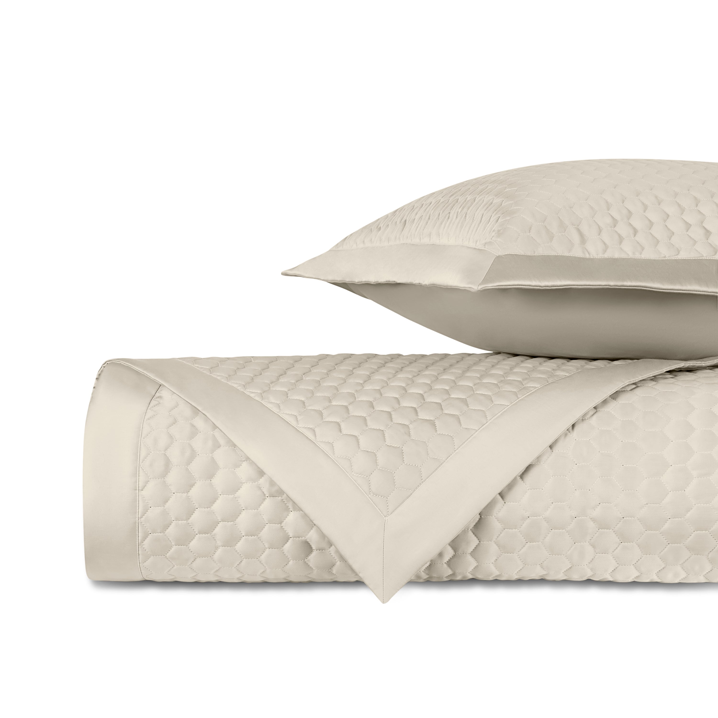 Apiary Quilted Coverlet (euro) Set