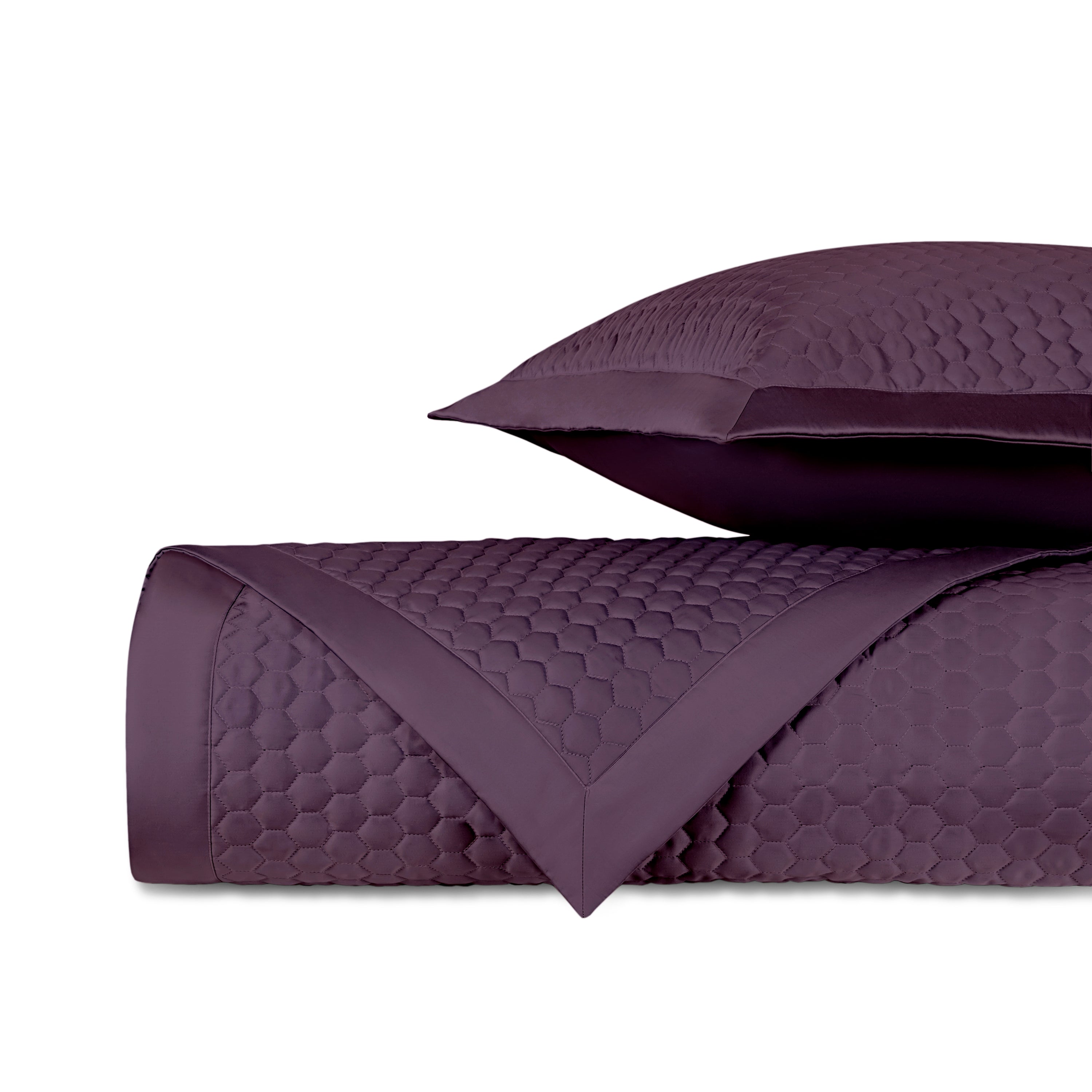 Apiary Quilted Coverlet (euro) Set
