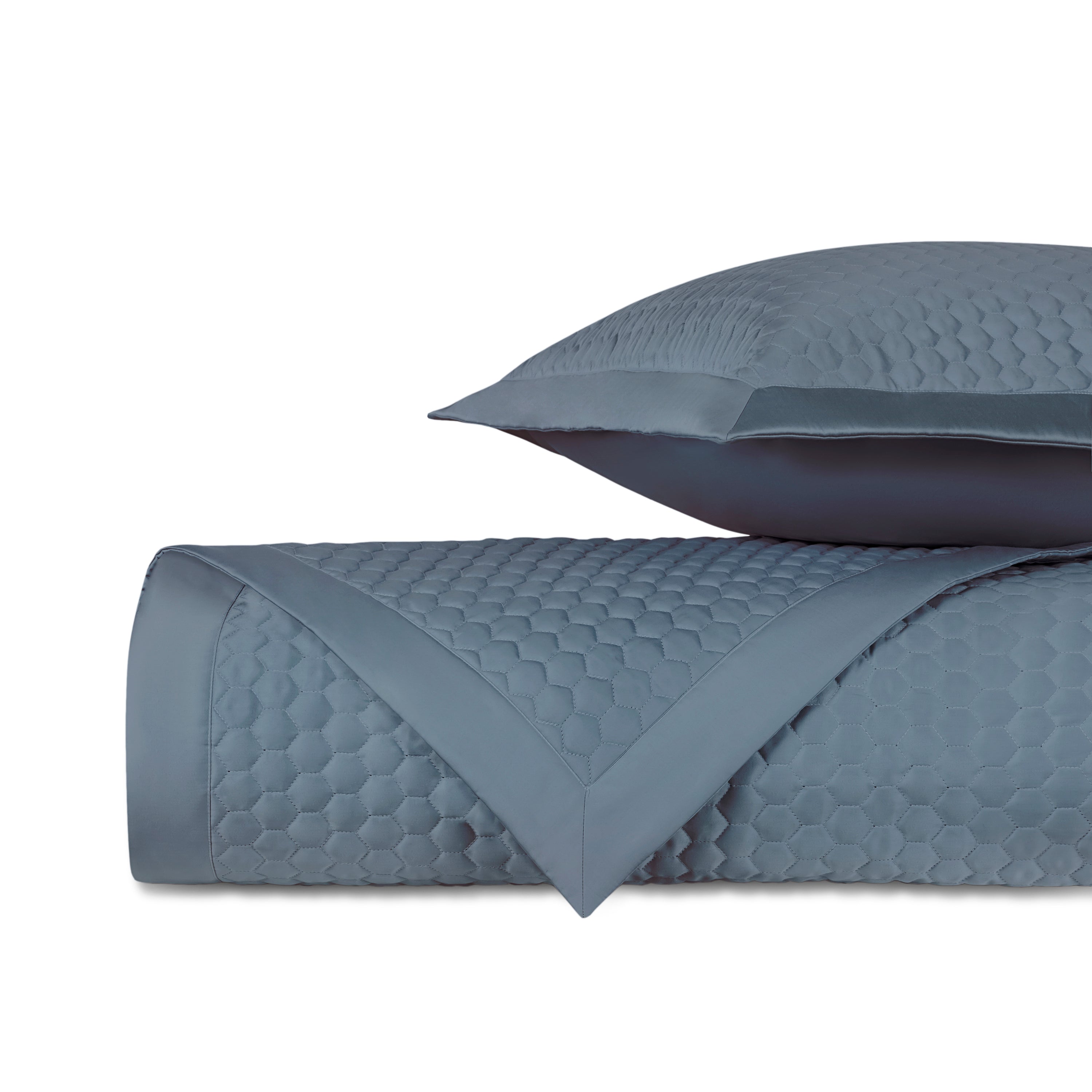 Apiary Quilted Coverlet (euro) Set