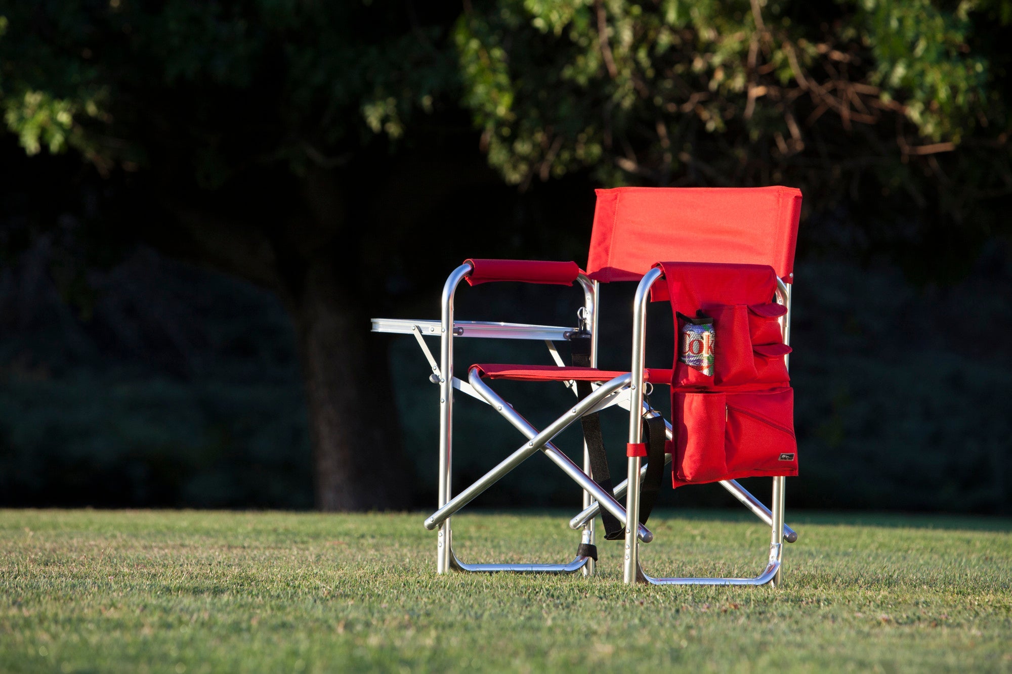 Purple Sports Chair With Side Table