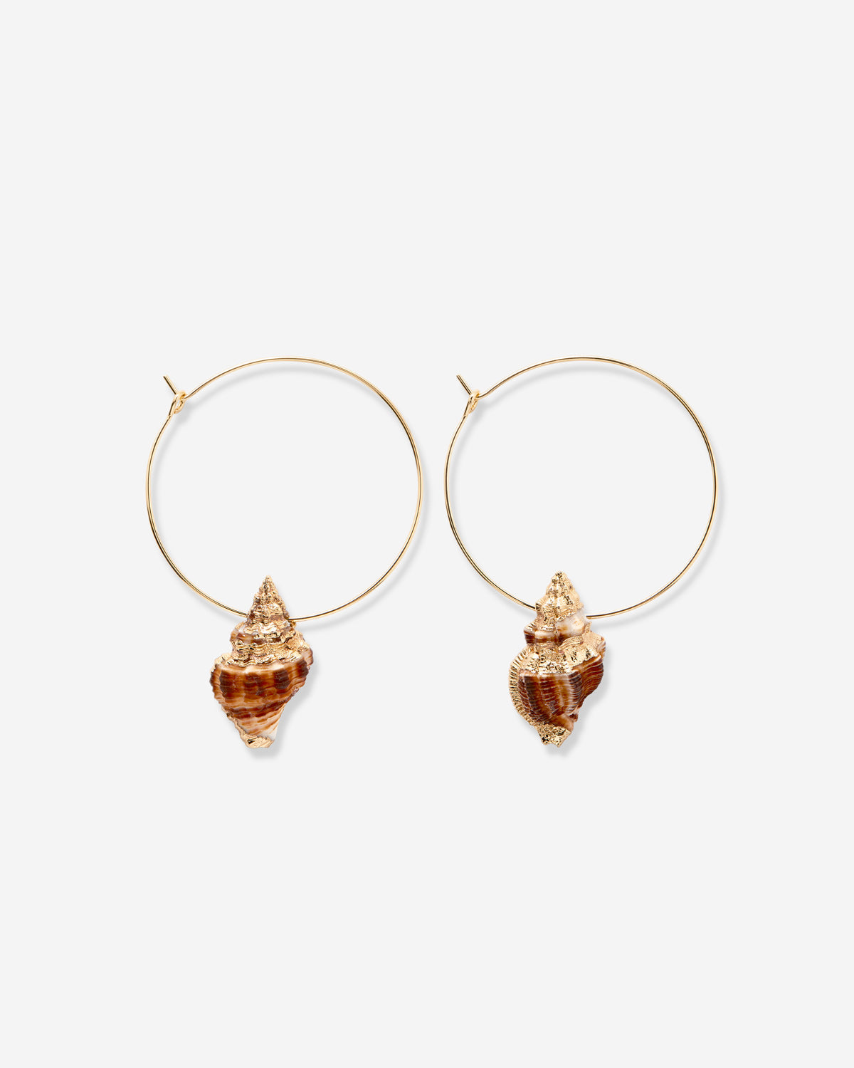 Sea Seeker Hoop Earrings